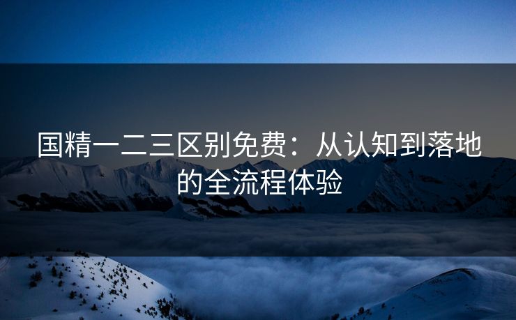 国精一二三区别免费：从认知到落地的全流程体验